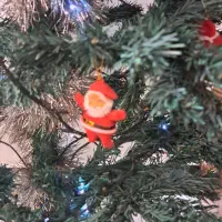 درخت کریسمس سالم