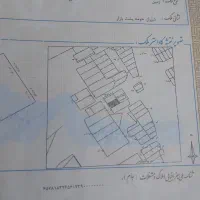 زمین تجاری