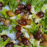 واگذاری حلزون