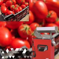آبگیری گوجه با دستگاه خدمات آبگیری گوجه و مرکبات