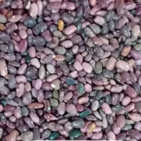 حبوبات|خوردنی و آشامیدنی|تهران, قصر فیروزه ۱|دیوار
