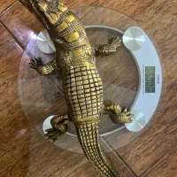 تمساح دکوری|مجسمه، تندیس، ماکت|تهران, جوادیه|دیوار