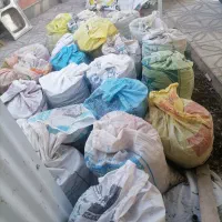 کبوتر|سگ|اسفراین, |دیوار