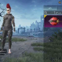 سوسنگرد|کنسول، بازی ویدئویی و آنلاین|سوسنگرد, |دیوار