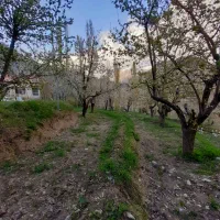 فروش باغچه ۷۰۰ متری جاده چالوس،معاوضه با واحد