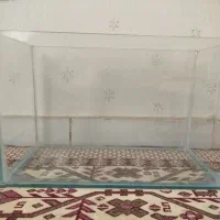 آکواریوم‌|ماهی|قزوین, |دیوار