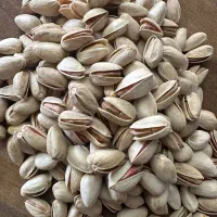 کار ساعتی و پاره وقت