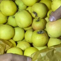 سیب قرمز و زرد