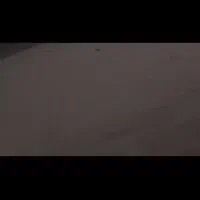 پالاز موکت