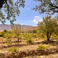 فروش زمین کشاورزی و باغی