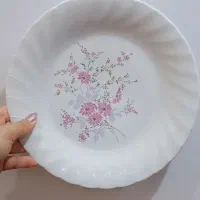 بشقاب برنج خوری چینی|ظروف سرو و پذیرایی|سنندج, |دیوار