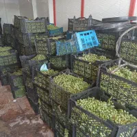 آبغوره طبیعی بدون نمک و ابنارنج شیرازی دورد دار|عمده‌فروشی|همدان, |دیوار