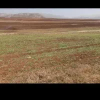 اجاره زمین کشاورزی بارانی کوهرنگ|فروش دفتر صنعتی، کشاورزی، تجاری|کوهرنگ, |دیوار