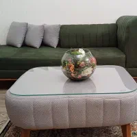 مبل سبز با جلومبلی|مبلمان خانگی و میز عسلی|هشتگرد, فاز ۲ مهستان|دیوار