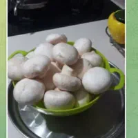 قارچ درجه یک|عمده‌فروشی|بروجرد, |دیوار