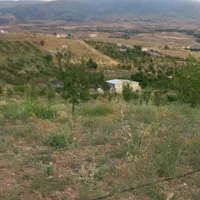 فروش ۵۰۰ متری باغ درجاده اهر مشگین|فروش دفتر صنعتی، کشاورزی، تجاری|فندقلو, |دیوار