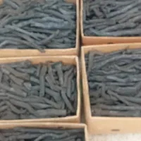 ذغال طاق تاق قلم
