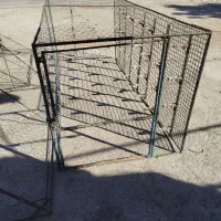 توری وتله کبوتر
