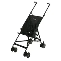 کالسکه عصایی دلیجان