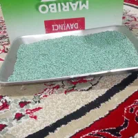 بزر چقندر داوینچی|گل و گیاه طبیعی|کلاله, |دیوار