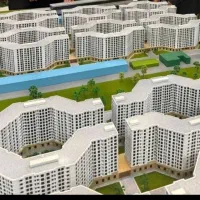 رونیکا حاج رحیم قربانی ارگان‌های دیوان سپاه دفاع