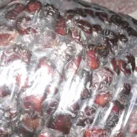 فروش خرمای خنیزی و مرداسنگ|خوردنی و آشامیدنی|رودان, |دیوار