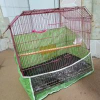 قفس پرنده|لوازم جانبی حیوانات|مشهد, قائم|دیوار