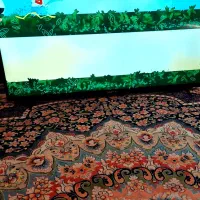 تلویزیون ال ای دی ۴۳صنام فول اح گیرنده دار|تلویزیون و پروژکتور|یاسوج, |دیوار