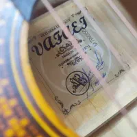 گیتار MV|گیتار، بیس، امپلیفایر|زنجان, |دیوار