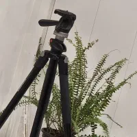 استخدام ادمین فروشگاه آنلاین