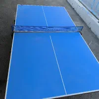 تنیس  رومیز