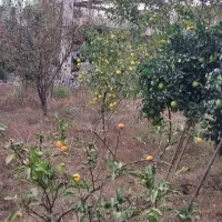 فروش یک پلاک 200متری شمالی