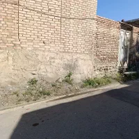حیاط