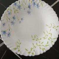 ظرف آرکوپال ۱۲ نفره