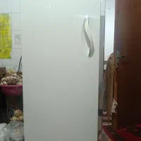 فریزر جنرال استیل