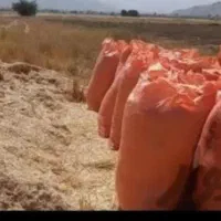 فروش کاه