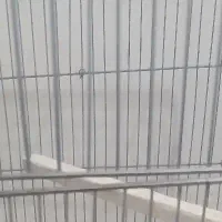 گمشده