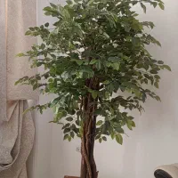 درختچه مصنوعی درحد نو|گل مصنوعی|اندیشه, اندیشه فاز ۳|دیوار