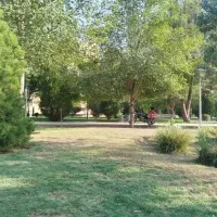 تدریس دروس ریاضی ، انگلیسی ، عربی و علوم