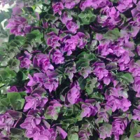 فروش تکی و عمده گرین وال|گل مصنوعی|شیراز, جوادیه|دیوار