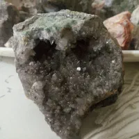 سنگ شجره راف