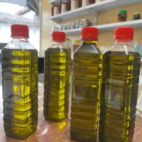 روغن زیتون امساله عمده کیلویی 600 تومن