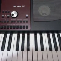 pa700اورینتال درحداکبند بدون خط وخش