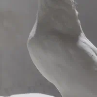 ماده نقره ای نقابی