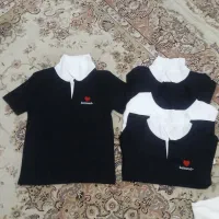 زنانه