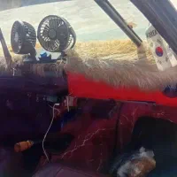 پیکان وانت 64|خودرو سواری و وانت|اشکذر, |دیوار