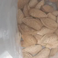 بادام کاغذی