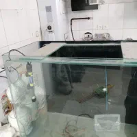 اکواریم شرکتی