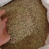 دو تن عدس ریز سرحد