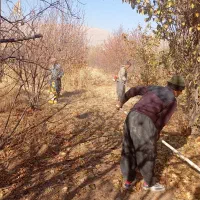 خدمات کشاورزی  با انصاف تیلر سم پاش هرس چال کود|خدمات باغبانی و درختکاری|سنندج, |دیوار